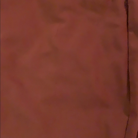 Express editor pants - rust color - Picture 3 of 4